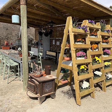 Carmey Avdat Farm Midreshet Ben Gurion Εξωτερικό φωτογραφία