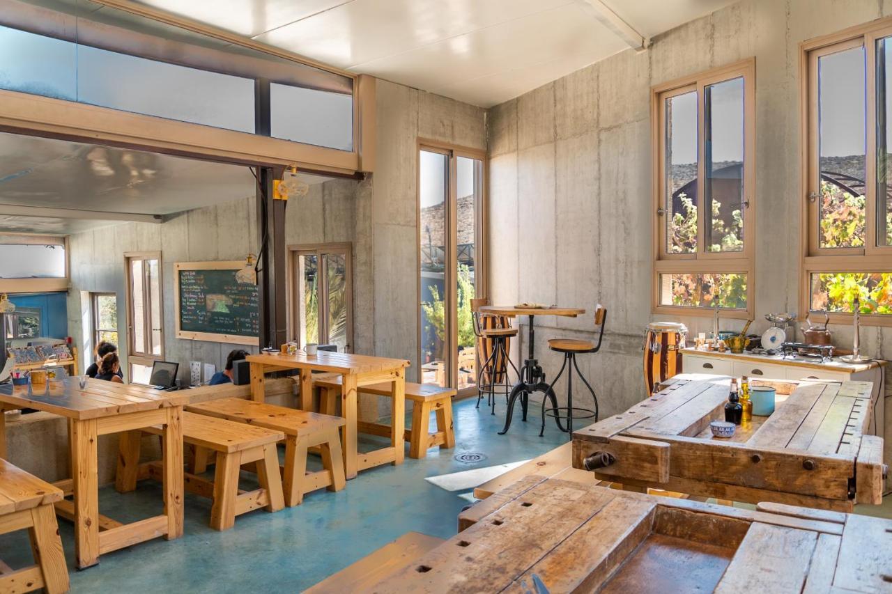 Carmey Avdat Farm Midreshet Ben Gurion Εξωτερικό φωτογραφία