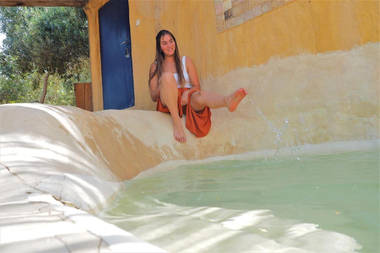 Carmey Avdat Farm Midreshet Ben Gurion Εξωτερικό φωτογραφία