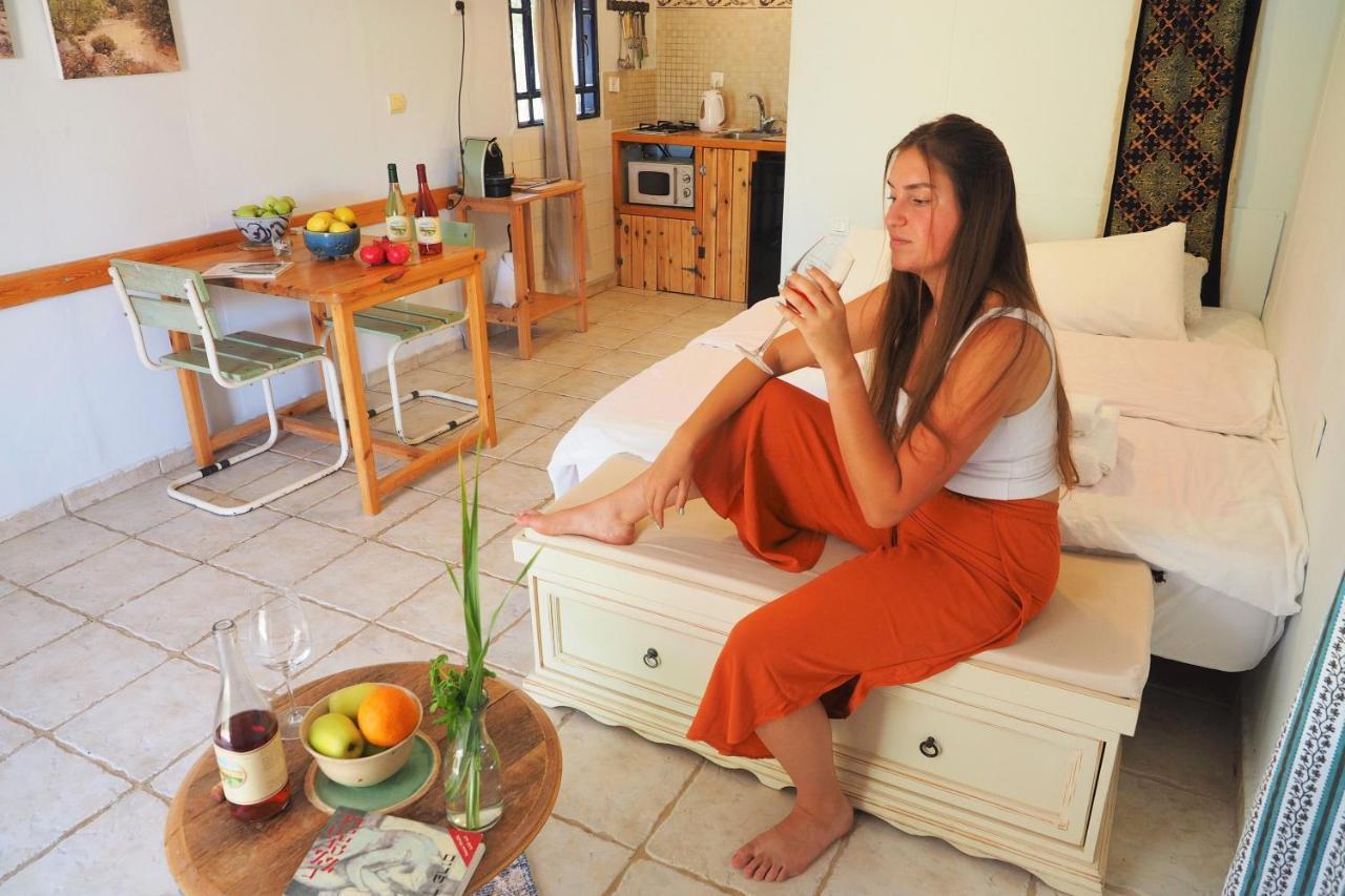 Carmey Avdat Farm Midreshet Ben Gurion Εξωτερικό φωτογραφία