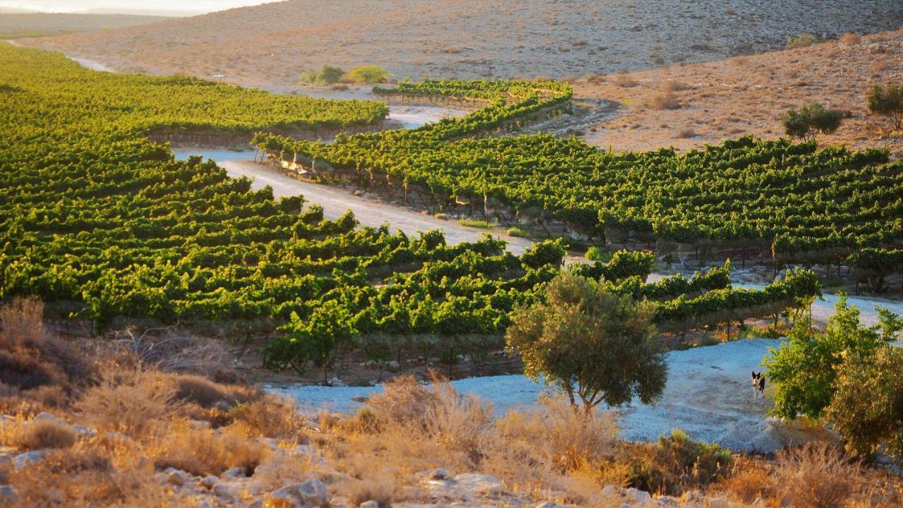 Carmey Avdat Farm Midreshet Ben Gurion Εξωτερικό φωτογραφία