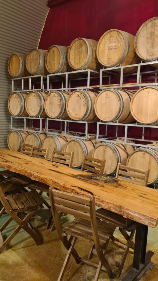 Carmey Avdat Farm Midreshet Ben Gurion Εξωτερικό φωτογραφία