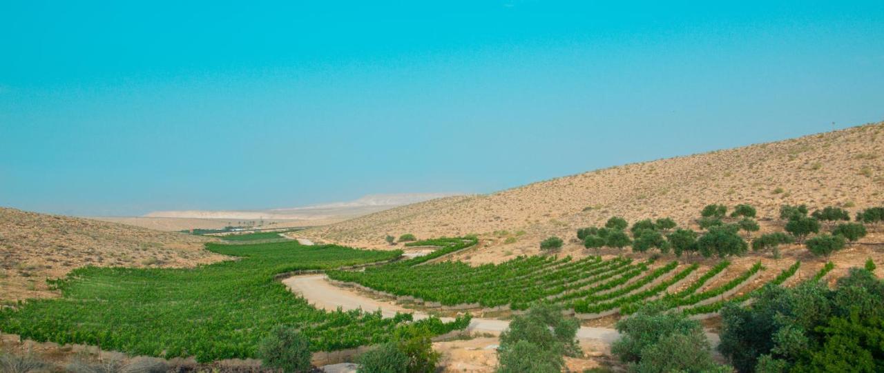Carmey Avdat Farm Midreshet Ben Gurion Εξωτερικό φωτογραφία