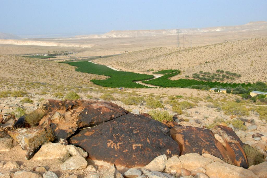 Carmey Avdat Farm Midreshet Ben Gurion Εξωτερικό φωτογραφία